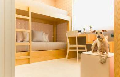 Imagem 13: São Paulo - Apartamento Padrão - Tatuapé