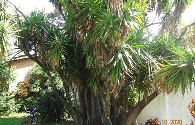 Imagem 10: Porto Alegre - Casa Padrão - Medianeira