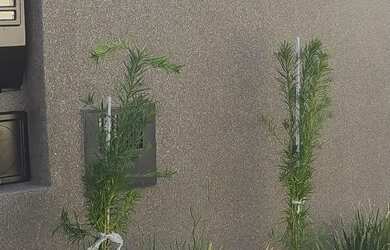 Imagem 2: Casa em avenida. Piscina, 60m² de Área, 2 Vagas na garageme2 Dormitórios