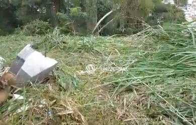 Imagem 8: Terreno em declive à venda por R$ 150.000 - São Pedro - Juiz de Fora/MG