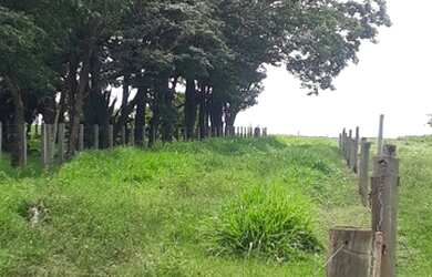 Imagem 7: Fazenda 148 Alqueires, Região São Jose Rio Preto-Sp