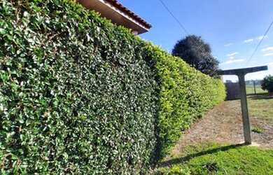 Imagem 13: Casa Colonia Carambeí. Área de serviço, 98m² de Área, 1 Vaga na garageme1...