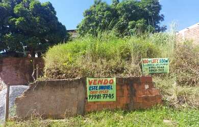 Imagem 5: Lote Vicente Pires. 550m² de Área