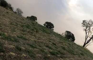 Imagem 15: Lote/Terreno para venda possui 500 metros quadrados em Jardim Brasil -...
