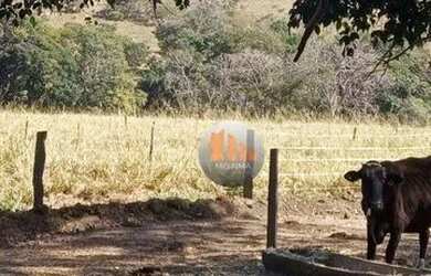 Imagem 3: Fazenda à venda, 62.92 hectares por R$ 2.400.000 - Zona Rural - Luziânia/GO