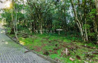 Imagem 2: TERRENO EM CONDOMÍNIO COM PROJETO APROVADO