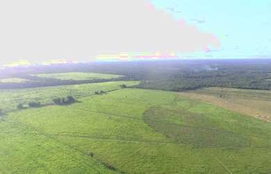 Imagem 5: R$2 milhões 100 hectares nas margens da Pa há 58 km de Castanhal