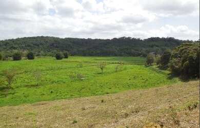 Imagem 4: Fazenda em Jacupiranga. Imóvel novoe2.750.000m² de Área