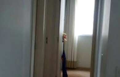 Imagem 9: Apartamento residencial à venda, Parque Novo Mundo, São Paulo