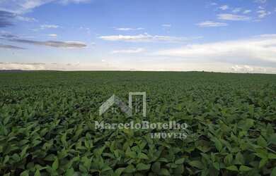 Imagem: A fazenda possui 690m² de Área e está localizado em Primavera