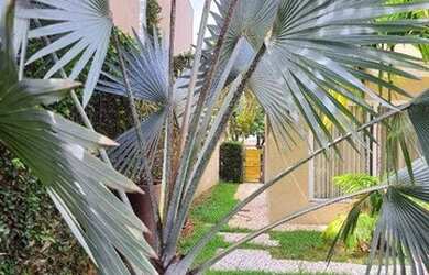 Imagem 16: Casa à venda, 387 m² por R$ 3.000.000,00 - Jardim Moysés Miguel Haddad...