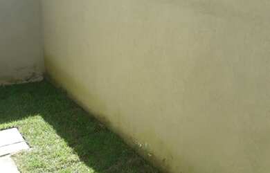 Imagem 9: Casa em Condominio - Novo Centro REF: 527