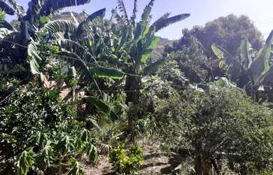 Imagem 9: Venda terreno itaipuaçu no Recanto 2 , 2 quadras da praia