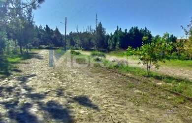 Imagem 6: Terreno Bairro Village Dunas 1 - Balneário Gaivota - SC