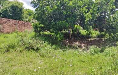 Imagem: O terreno está localizado em Recanto Dos Pássaros, São Luís