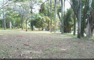 Imagem: O terreno possui 15.000m² de Área e está localizado em Chácaras