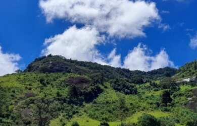 Imagem 6: Lote/Terreno para venda com 260000 metros quadrados