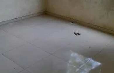 Imagem 5: Casa em lontra. 350m² de Área, 5 Vagas na garageme2 Dormitórios