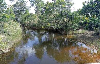 Imagem 4: Mil metros quadrados Citiados em zona rural da cidade itanagra