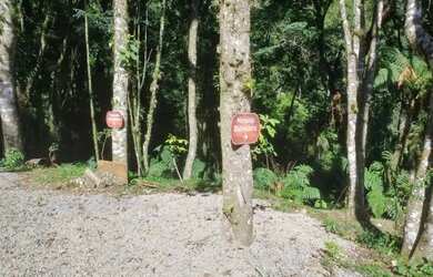 Imagem 15: Sitio - Bairro Santa Terezinha