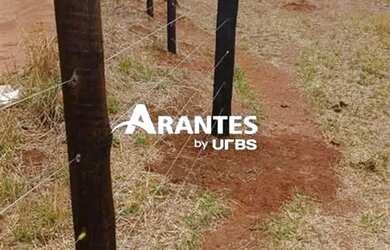 Imagem 9: Fazenda com 20 HECTARES à venda na área rural de Uberlândia