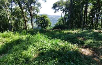 Imagem: A fazenda possui 30.700m² de Área e está localizado em Nova