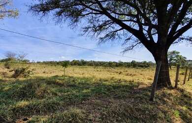 Imagem 4: Vendo Terrenos 20.000m² Financiados. Escritura e Registro