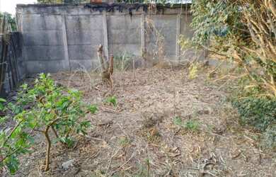 Imagem 3: Terreno 8x40. 320m² de Área