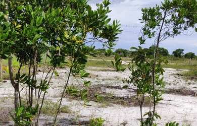 Imagem 1: Estou vendendo um terreno de 1.000 m² a mil metros da praia