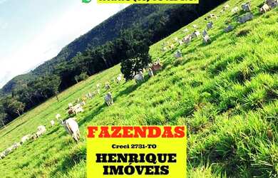 Imagem: A fazenda possui 217m² de Área e está localizado em Aparecida