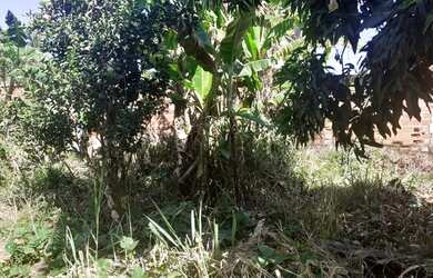 Imagem 5: Venda terreno itaipuaçu no Recanto 2 , 2 quadras da praia
