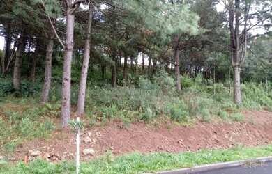 Imagem 1: Terreno à venda, 450 m² por R$ 278.000,00 - Mato Queimado - Gramado/RS