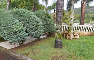 Imagem 9: Chácara com 3 dormitórios, 4800 m² - venda por R$ 1.200.000,00 ou aluguel...