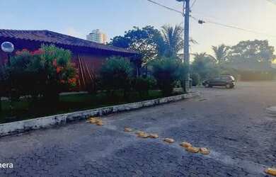 Imagem 13: Apartamento com 2 dormitórios para alugar, 58 m² por R$ 1.450,00/mês...