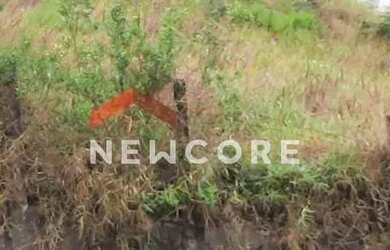 Imagem 4: Lote em Alameda Serra da Cantareira - Canjica (Terra Preta) - Mairiporã/SP