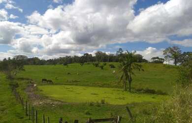 Imagem 6: Fazenda. 124m² de Área Privada