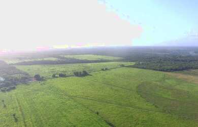 Imagem 4: R$2 milhões 100 hectares nas margens da Pa há 58 km de Castanhal