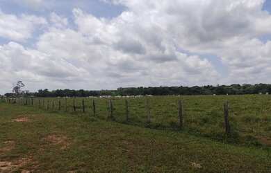 Imagem 13: R$ 20 milhões 1107 hectares pronta e 100 documentada aceita 50 de entrada