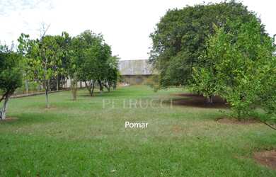 Imagem 8: chácara - Estância dos Granjeiros - Porto Ferreira