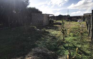 Imagem 4: Lote/terreno à venda em Santana Do Livramento