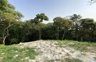 Imagem 8: SÃO PAULO - Terreno Padrao - CARAPICUIBA