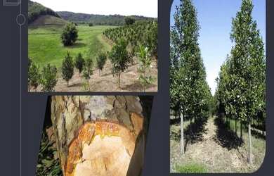 Imagem 5: Fazenda em Jacupiranga. Imóvel novoe2.750.000m² de Área