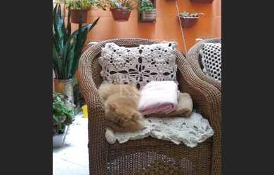 Imagem 7: Porto Alegre - Apartamento Padrão - Cristo Redentor