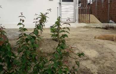 Imagem 3: Casa. 1 Dormitório