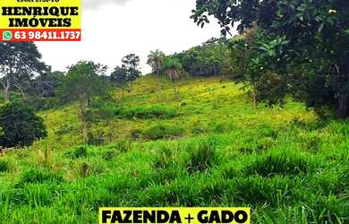 Imagem: A fazenda possui 216m² de Área e está localizado em Porto