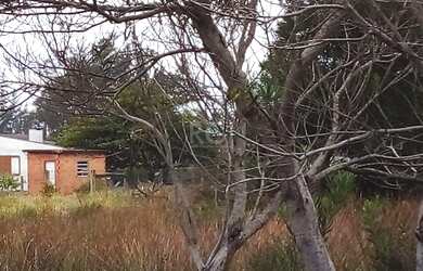 Imagem 9: Arroio do Sal - Terreno Padrão - Jardim Atlântico