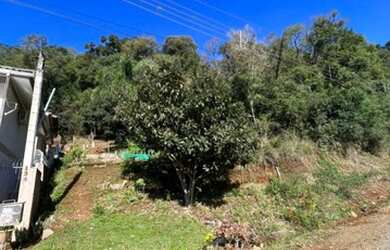 Imagem 2: Lote/terreno à venda em Marau
