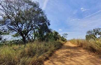 Imagem 2: Vendo Terrenos 20.000m² Financiados. Escritura e Registro