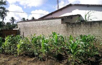 Imagem 3: Vendo casa ou Troco somente no municipio de Areia Branca
