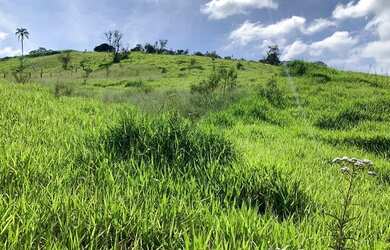 Imagem 3: TERRENO COM LINDA VISTA